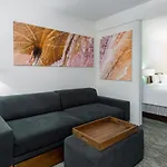 Springhill Suites Asheville