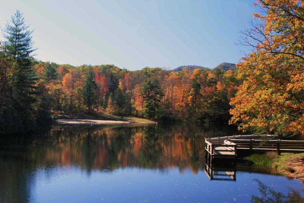 Apartment Bluebirds Nest 10 Min To Avl Biltmore Hot Tub Cont Bkfst Sparkling Water