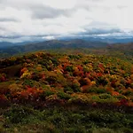 Hampton Inn Asheville - Biltmore Area