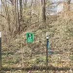 Relaxed Asheville Apartment - Pet-Friendly