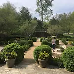 Om Sanctuary Holistic Retreat