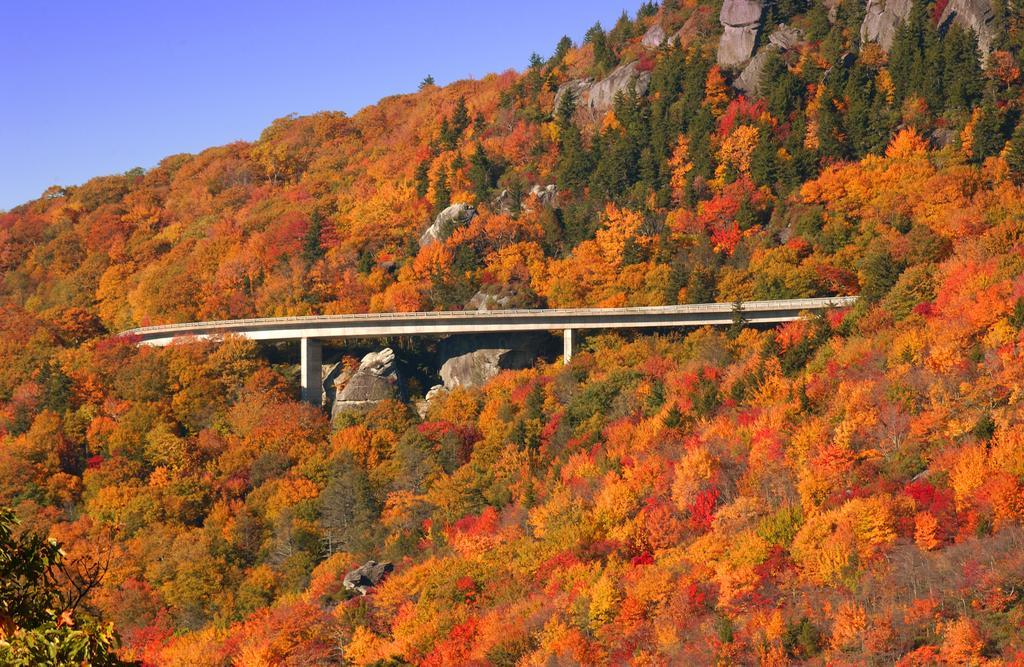 Hampton - Biltmore Area 4* Asheville