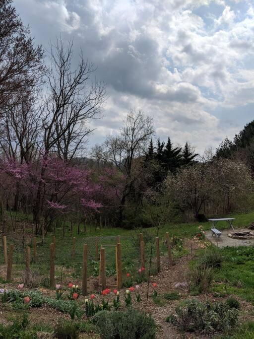 Holiday home Victory Garden 12 Min To Downtown With Fire Pit And *