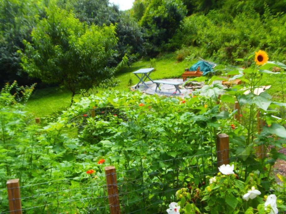 Victory Garden 12 Min To Downtown With Fire Pit And *