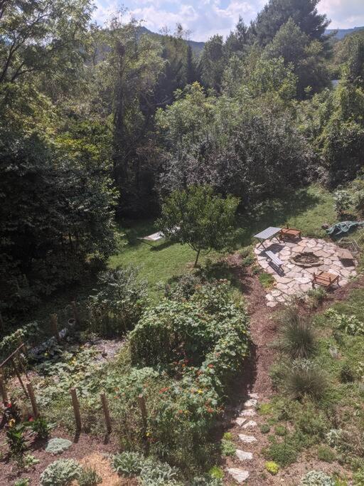 Victory Garden 12 Min To Downtown With Fire Pit And Asheville