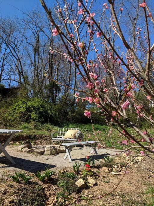 Holiday home Victory Garden 12 Min To Downtown With Fire Pit And Asheville