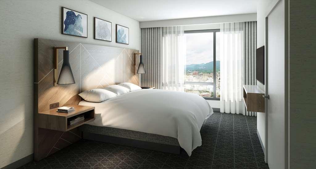 Hotel Embassy By Hilton Downtown Asheville