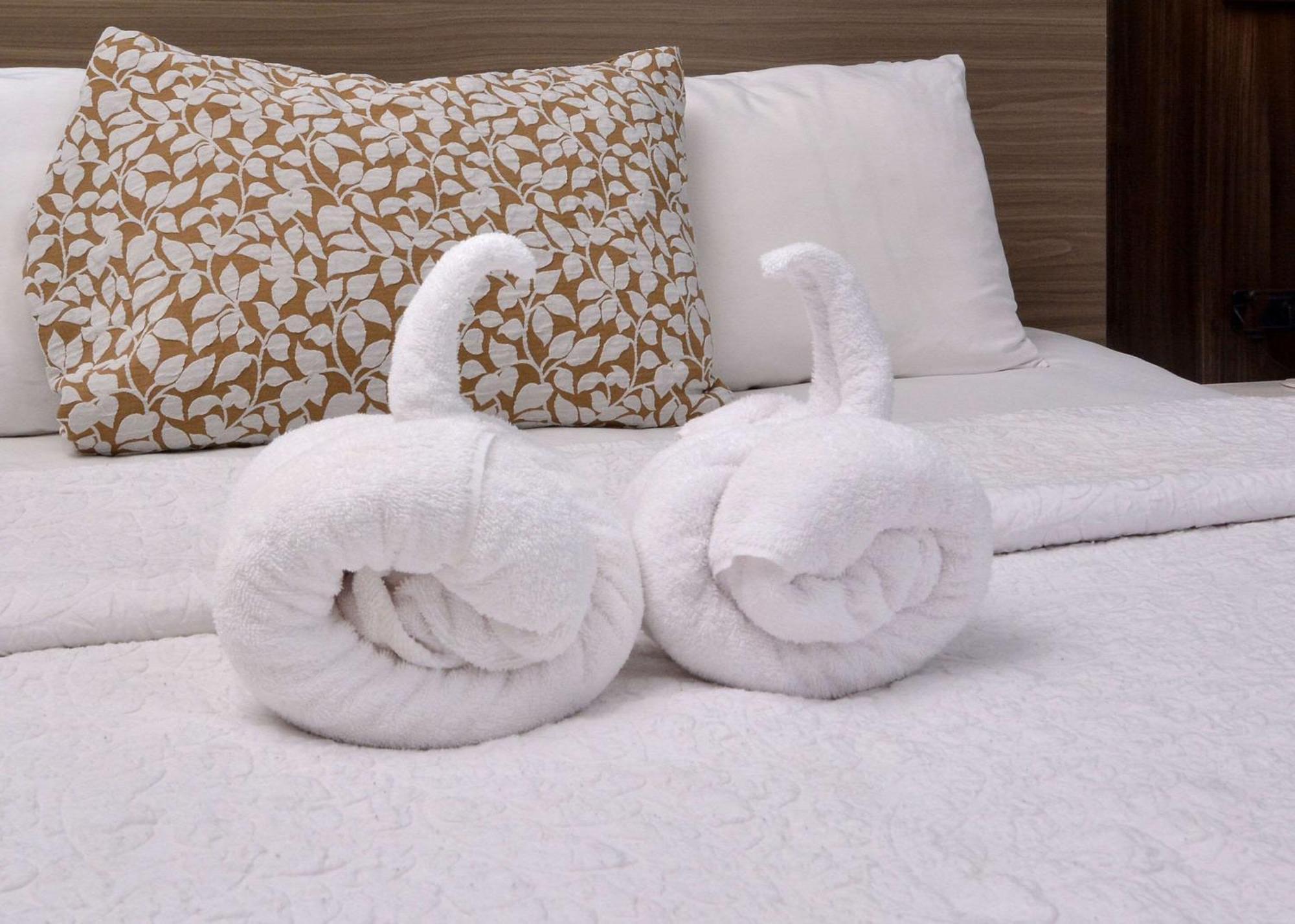Hotel Brookstone Near Biltmore Village, Ascend Collection 3*