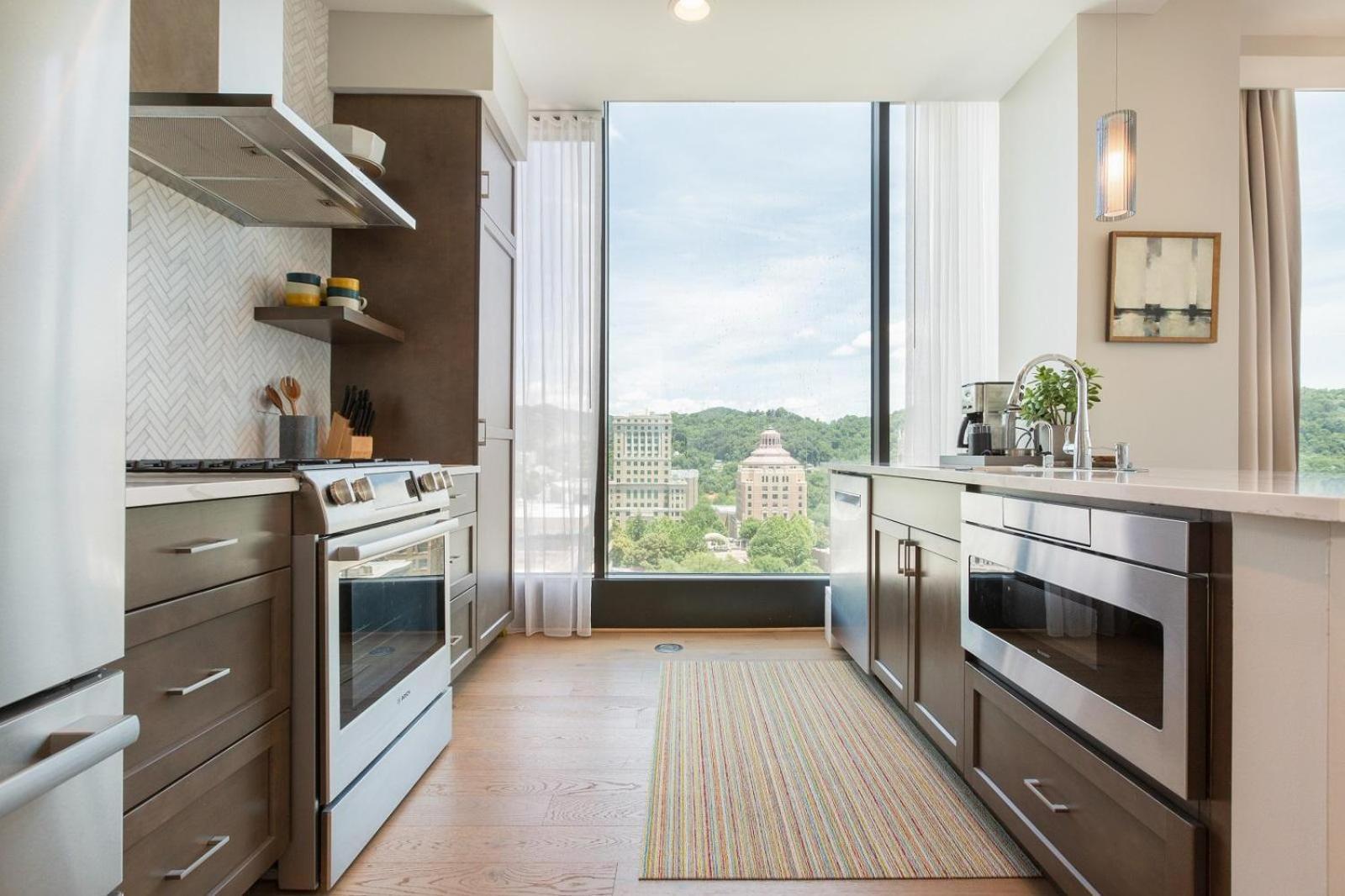 Apartment Arras Vacation Rentals: Luxury Downtown With Pack Square Views Asheville