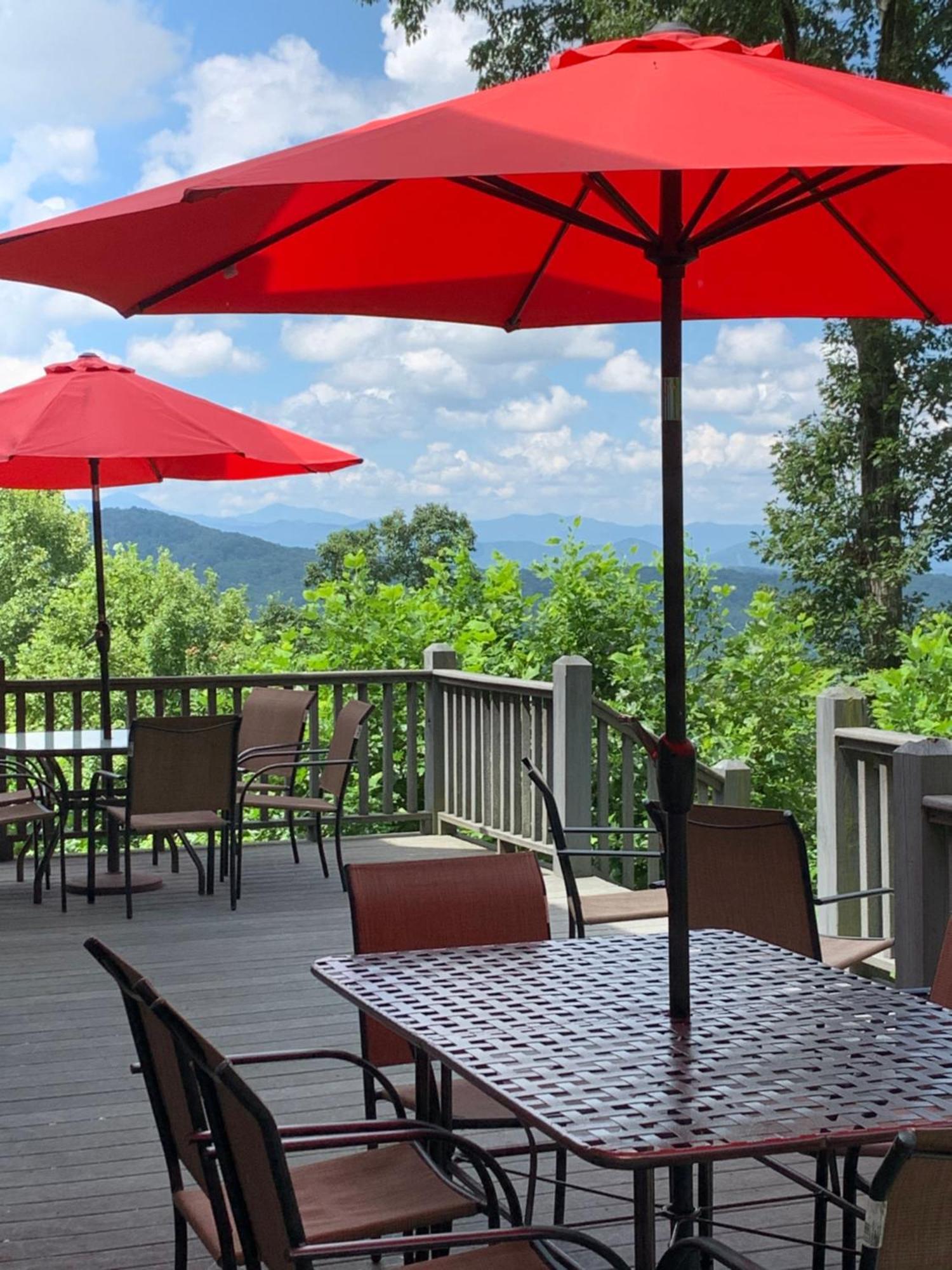 Tourism Is Back In Asheville, See Listing Info