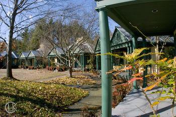 Om Sanctuary Holistic Retreat