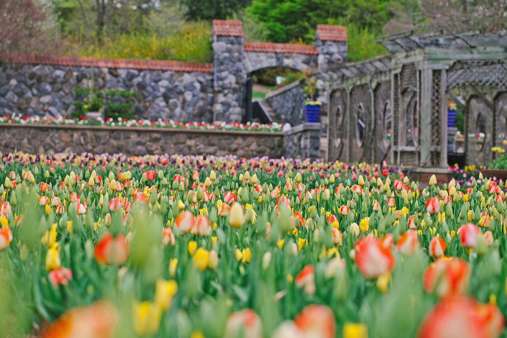 Village On Biltmore Estate Hotel Asheville