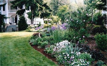 Bed & Breakfast Albemarle -