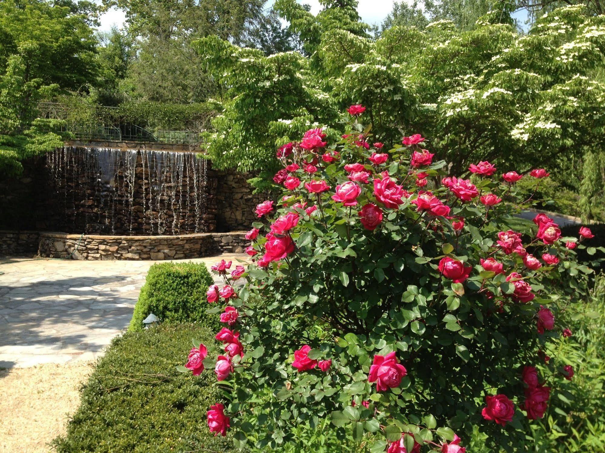 Om Sanctuary Holistic Retreat