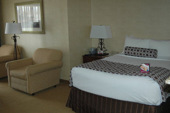 Holiday Sunspree Great Smokies-asheville Hotel