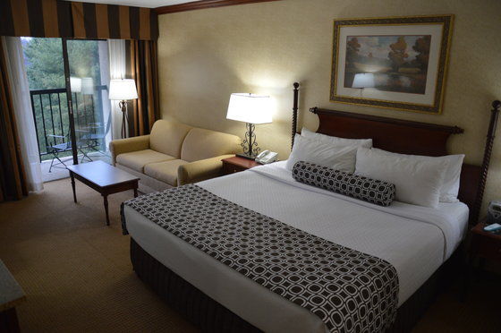 Hotel Holiday Sunspree Great Smokies-asheville 3*