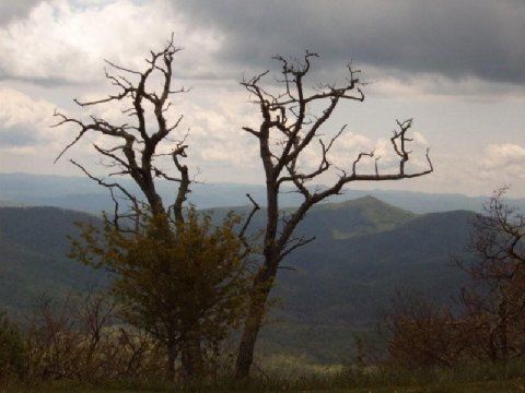 Hotel Holiday Sunspree Great Smokies-asheville Asheville