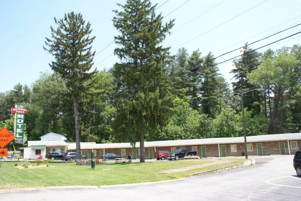 Whispering Pines - Motel Asheville