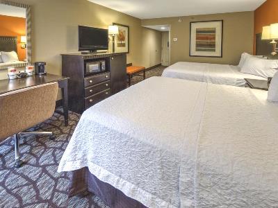 Hotel Hampton Asheville-tunnel Road