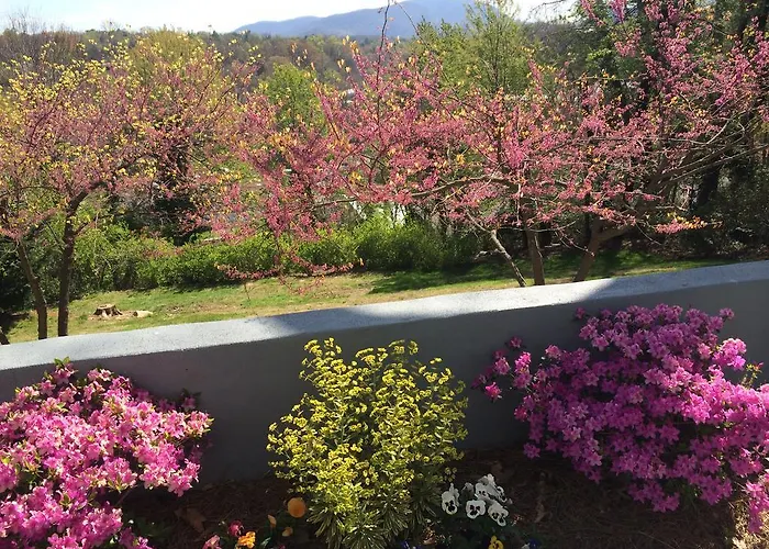 Biltmore Village Inn B&B