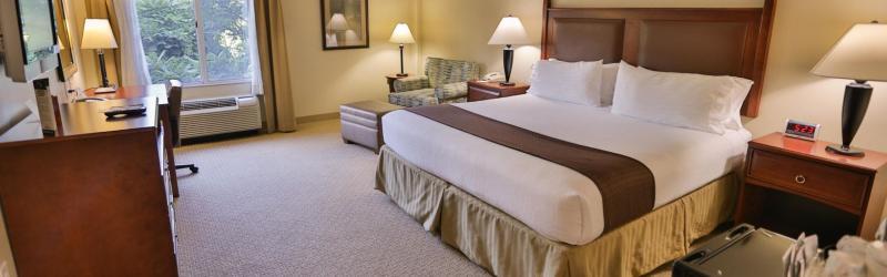Express & Downtown By Ihg