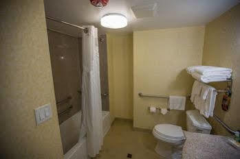 Express & Downtown By Ihg Hotel Asheville