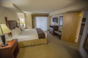 Express & Downtown By Ihg Hotel Asheville